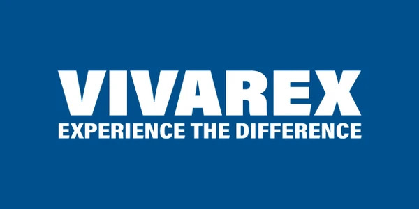 اره زنجیری شارژی ویوارکس مدل VR2412V-CS ۳۰ سانت دو باتری براشلس